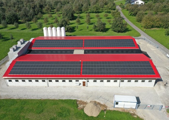 Von der Elektro W&auml;ger AG installierte Photovoltaikanlage auf einem landwirtschaftlichen Geb&auml;ude
