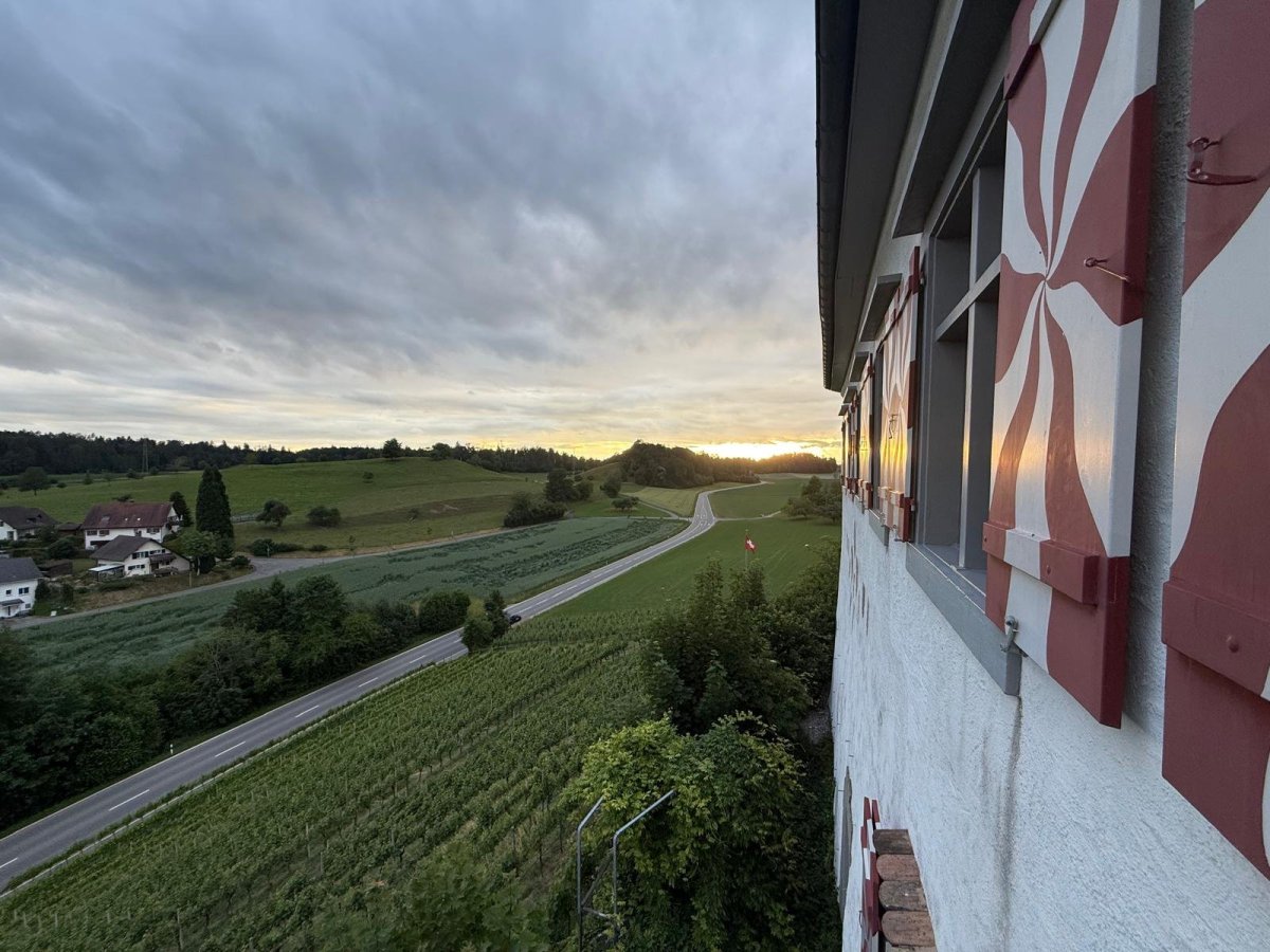 Blick aus einem Schlossfenster auf Weinreben bei Sonnenuntergang